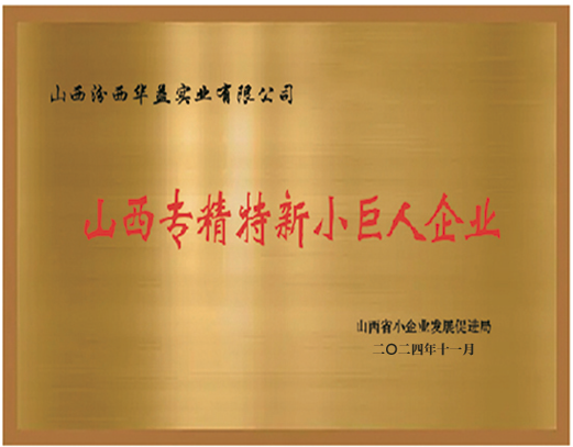 山西專精特新小巨人企業(yè)